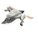 flying pegasus gif.gif (12152 bytes)